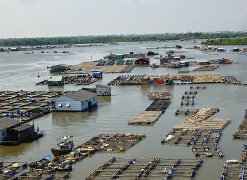điện mặt trời độc lập