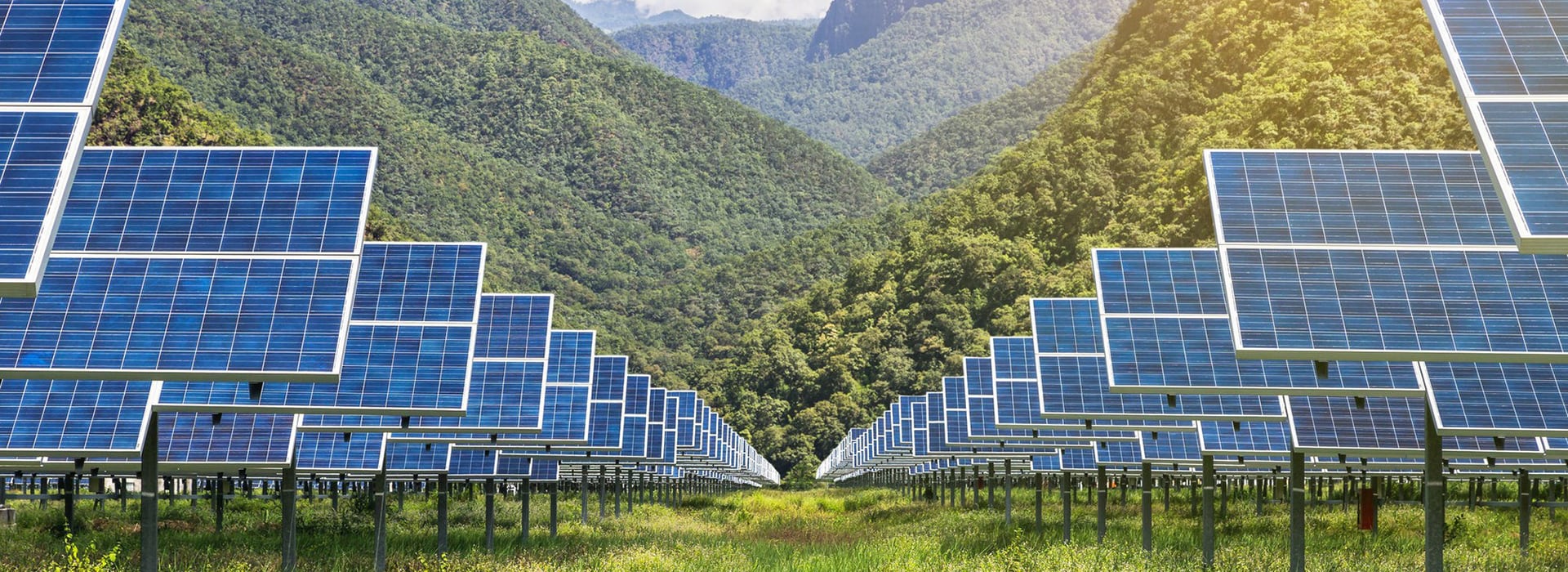 Vũ Sơn Solar