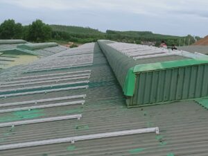điện mặt trời quảng ngãi