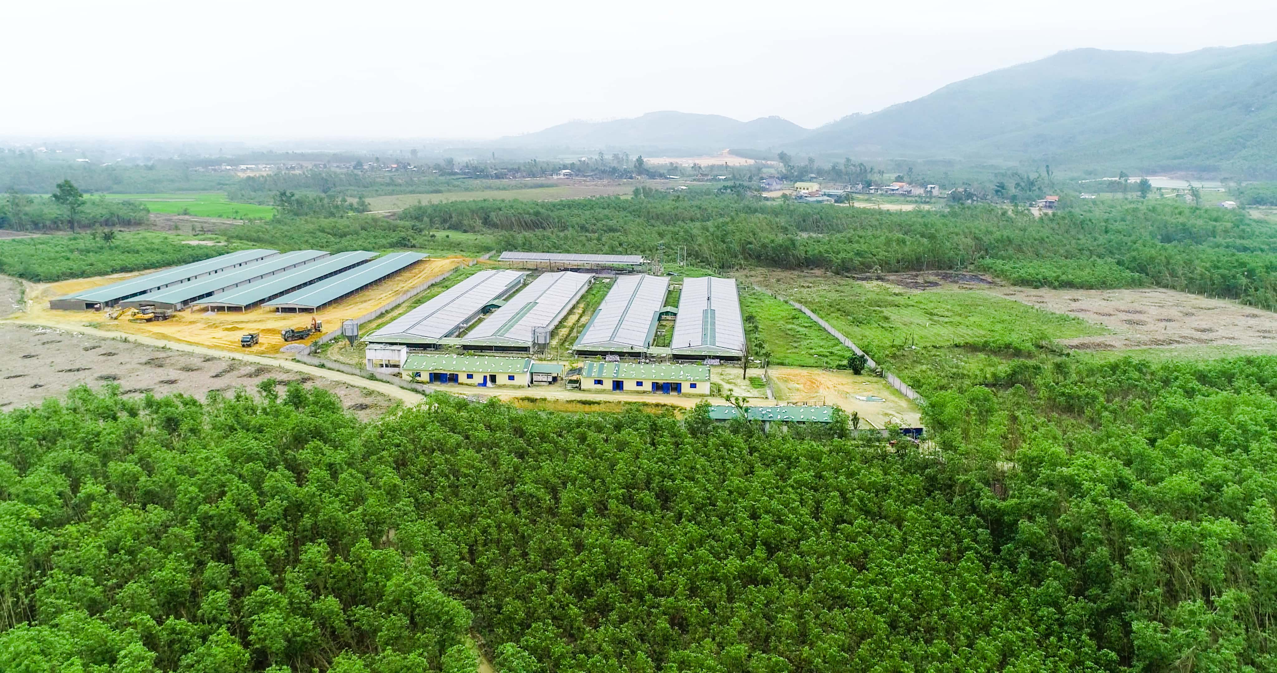 công ty điện mặt trời