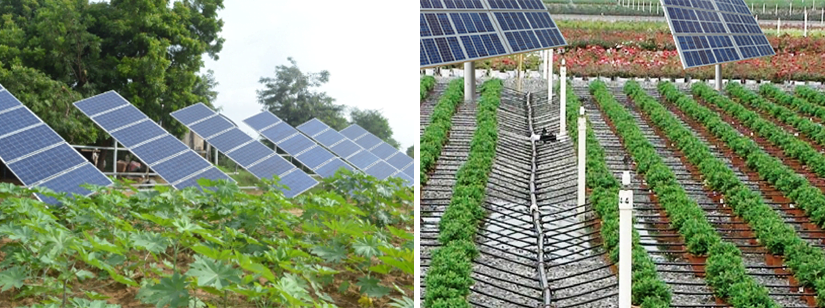 điện mặt trời cho nông nghiệp