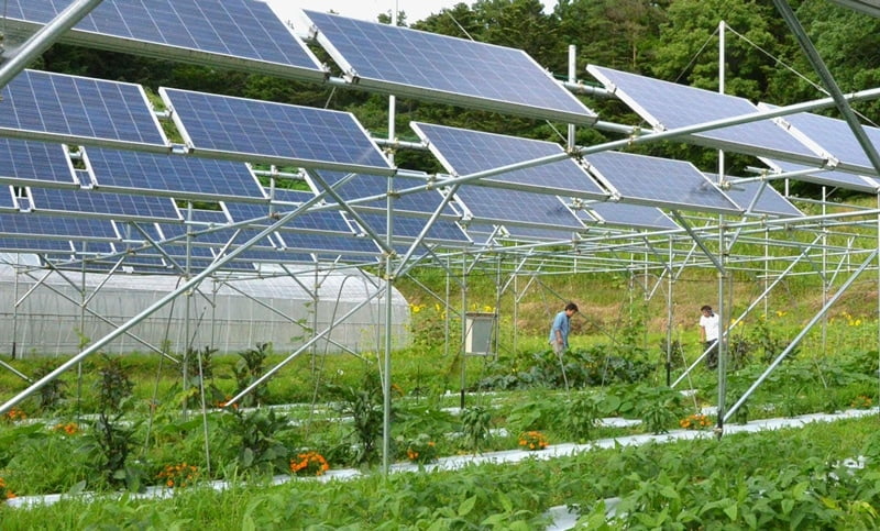 điện mặt trời cho nông nghiệp