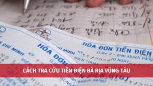 cah tra cuu tiendien ba ria vung tau