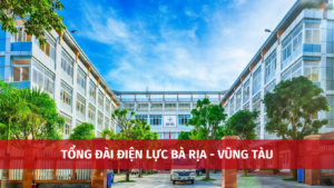 tong dai dien luc ba ria vung tau