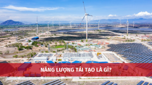 nang luong tai tao la gi 1