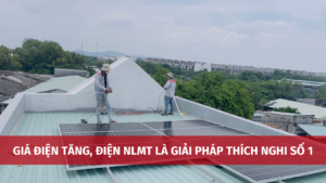 dien nlmt 1