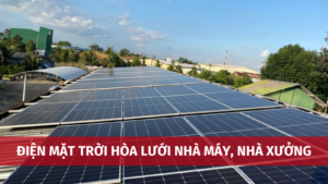dien mat troi hoa luoi nha may 14