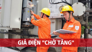 gia dien cho tang