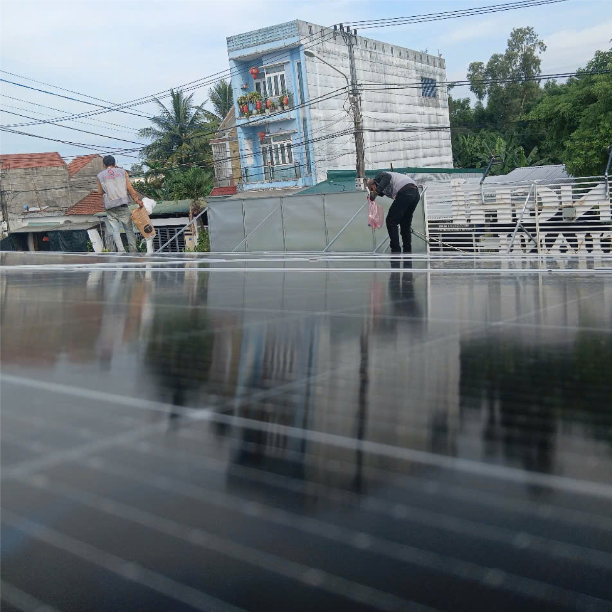 dien mat troi hoa luoi 3 2
